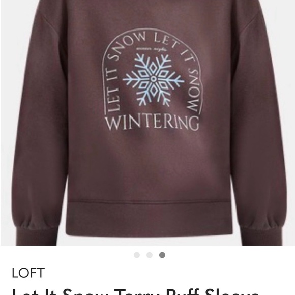 LOFT Brown Crewneck Sweatshirt with White and Light Blue Snowflake Graphic - Picture 3 of 3